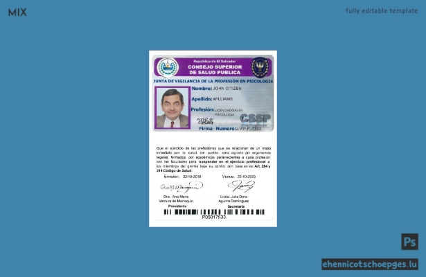 Beispielvorschau des Gesundheitsrats von El Salvador (Rat für öffentliche Gesundheit)